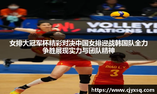 女排大冠军杯精彩对决中国女排迎战韩国队全力争胜展现实力与团队精神